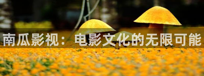 6080极速影院：南瓜影视：电影文化的无限可能