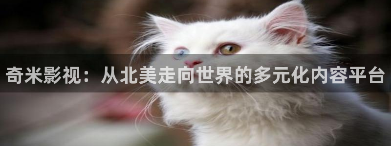 影视工厂在线观看极速蓝光：奇米影视：从北美走向世界的多元化内容平台