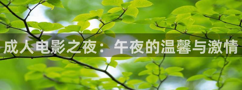 在线观看极速影院：成人电影之夜：午夜的温馨与激情