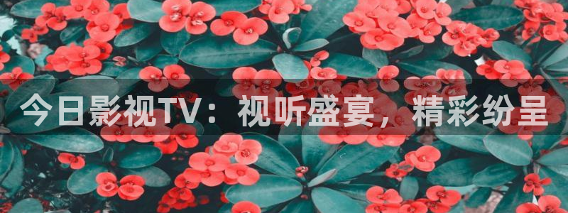 极速云影院：今日影视TV：视听盛宴，精彩纷呈