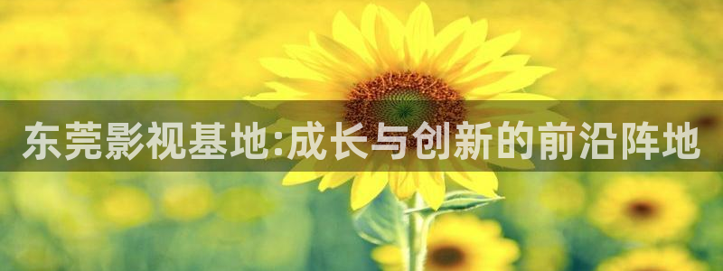极速手机影院：东莞影视基地:成长与创新的前沿阵地
