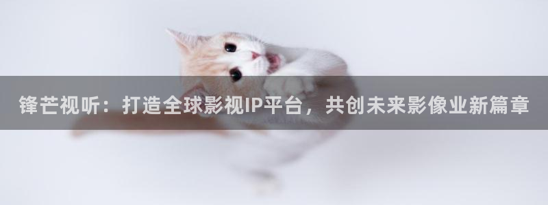 赛尔号之圣者无敌极速影院：锋芒视听：打造全球影视IP平台，共创未来影像业新篇章