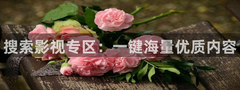 一级片极速影院：搜索影视专区：一键海量优质内容