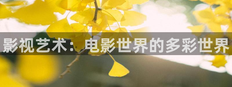 飘花极速影院：影视艺术：电影世界的多彩世界
